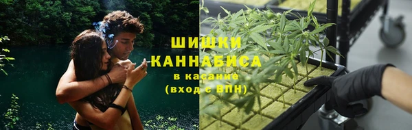 молекула духа Верхний Тагил
