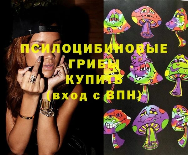 молекула духа Верхний Тагил