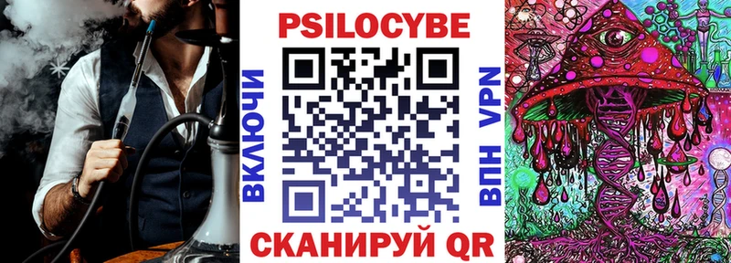 Купить где  Кемь  Псилоцибиновые грибы GOLDEN TEACHER 